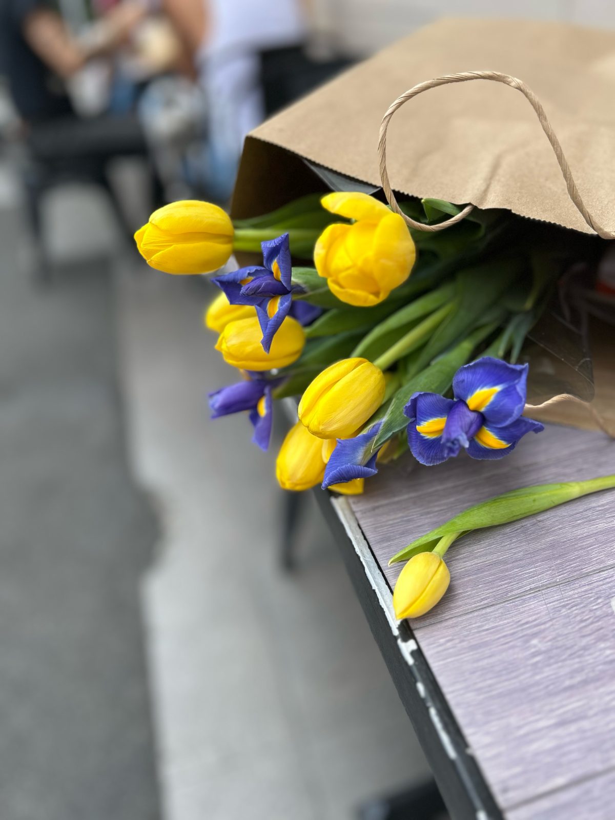 Tulips in a bag